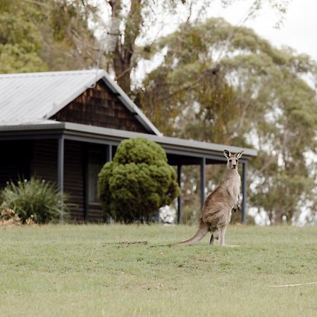Palmers Lane Estate Hunter Valley Pokolbin Buitenkant foto