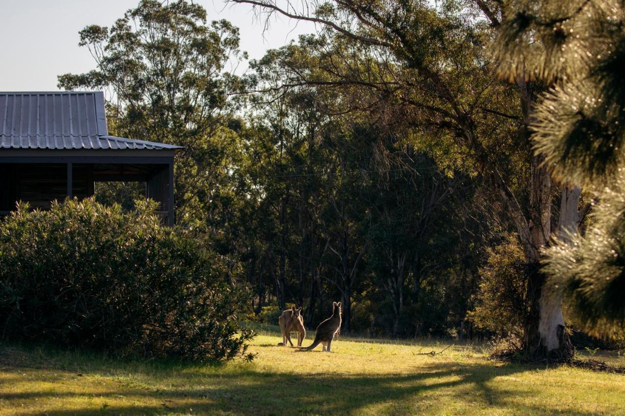 Palmers Lane Estate Hunter Valley Pokolbin Buitenkant foto